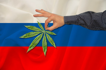 green leaf of cannabis in a man’s hand against the background of a colored state flag, the...
