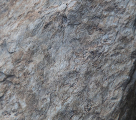 Naklejka premium Stone background/The detail texture of sand stone/Natural slate stone texture background/