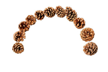 semicircular wreath of forest pine cones, isolate, base, postcard, photo wallpaper, poster, close-up, copy space