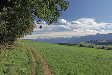 Fototapeta na wymiar Aussicht von Längenberg, Berner Alpen, Schweiz