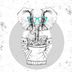 Retro Hipster fashion animal elephant dressed up in pullover. Hipster animals