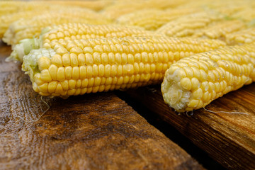 Wet washed corncobs lie on rough wet wooden boards. Harvest crop. Appetizing ripe sweet corn.