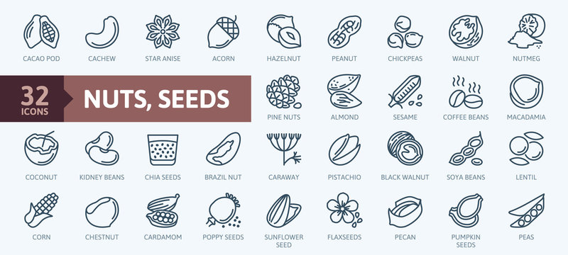 Nuts, seeds and beans elements - minimal thin line web icon set. Outline icons collection. Simple vector illustration.