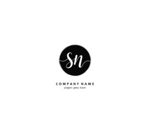 SN Initial handwriting logo vector