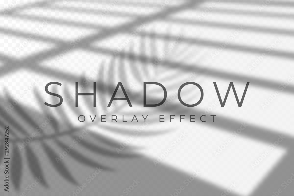 Leinwandbilder Shadow overlay effect. Vector shadow and light overlay effect, natural lighting scene. Mockup of transparent shadow from windows and palm leaves