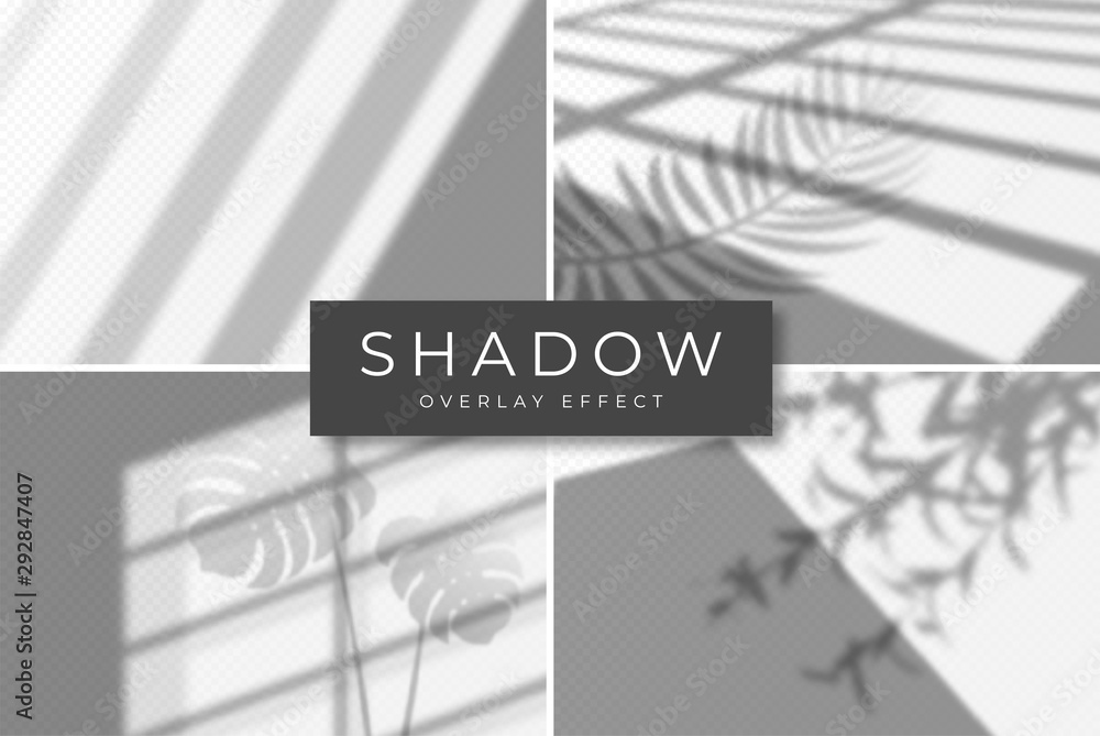 Poster Set of shadow overlay effects. Vector shadow and light overlay effect, natural lighting scene. Mockup of transparent shadow from window, monstera leaves and plants