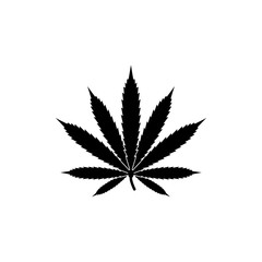 marijuana icon template, leaf cannabis vector element design