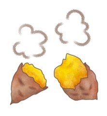 秋の味覚　焼き芋　さつまいも　イラスト素材　水彩風