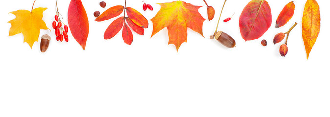 Autumn background border. Vivid fall leaves on white background