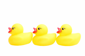 Yellow rubber duck