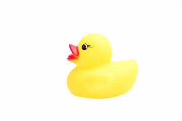 Yellow rubber duck