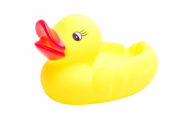 Yellow rubber duck