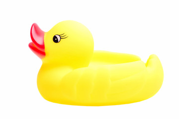 Yellow rubber duck