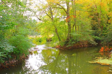 Promenade dans les bois