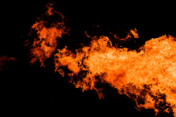 Obraz premium Blazing fire flame background and texture