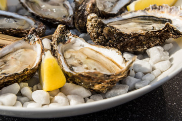 Oyster on Plate with Lemon