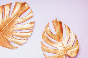 Golden monstera leaves on paterl pink background. © Diana Vyshniakova