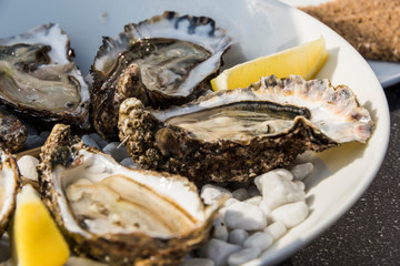 Oyster on Plate with Lemon