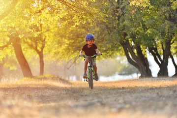 Obraz premium Happy kid boy of 7 years having fun in autumn park with a bicycle on beautiful fall day. Active child wearing bike helmet