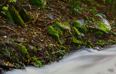 Rwący potok, strumyk w okolicach Kolboten w Norwegii