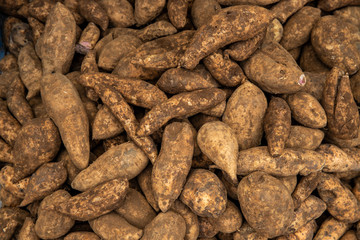 Yellow batata root pile. Sweet potato bunch texture. Fresh vegetable closeup photo. South Asia or Latin America traditional side dish