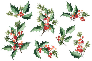Christmas watercolor set of bouquet arrangings. Holly berries, green leaves and spruce - 292859402