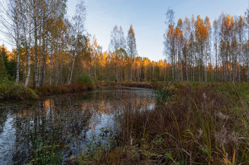 Fototapeta na wymiar View of the river and wooded banks in autumn evening