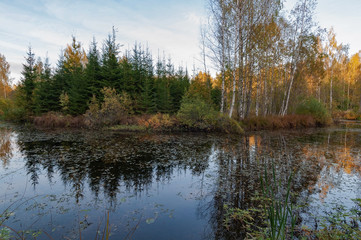 Fototapeta na wymiar View of the river and wooded banks in autumn evening