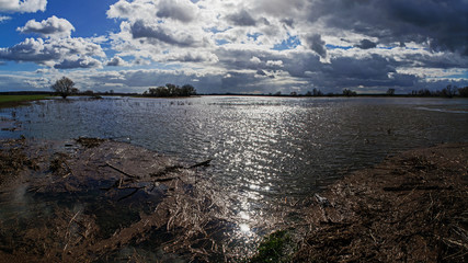 Hochwasser an der Elbe