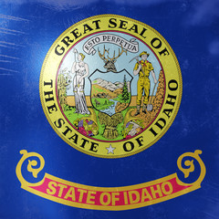 Idaho State flag icon