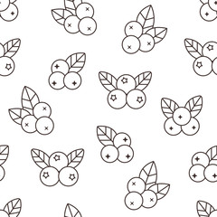 Blueberry seamless pattern with vector line icons. Forest berries for jam package background, detox food monochrome black white wallpaper