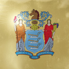 New Jersey State flag icon