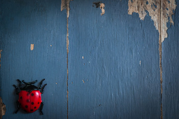 toy ladybird on painted wooden background.