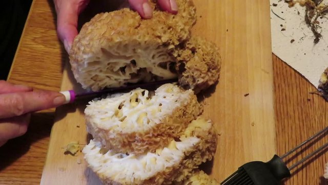 cauliflower fungus (Sparassis crispa). cutting mushroom in slices to cook a meal.