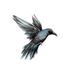 Black, crow, bird, water color, art