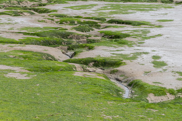 Water channels in the mud flats of the Dengie Penisula around South Woodham Ferrers, Essex. UK