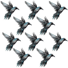 Black, crow, bird, water color, art