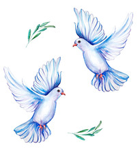 Peace bird, dove, art, water color drawing