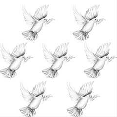 Peace bird, dove, art, water color drawing