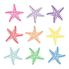 Starfish vector design 