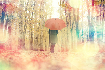 autumn look, sunny day a young girl with an umbrella walks in a yellow park in October