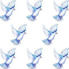 Peace bird, dove, art, water color drawing