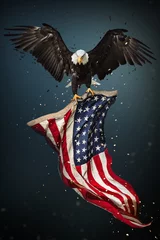 Fotobehang American Bald Eagle flying - symbol of america -with flag. United States of America patriotic symbols. © Lukas Gojda