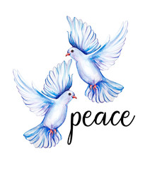 Peace bird, dove, art, water color drawing