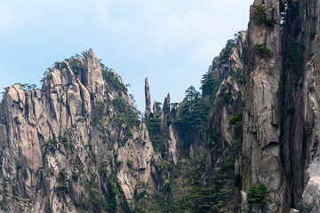 Pines and mountains of China