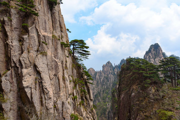 Pines and mountains of China