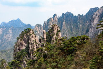 Pines and mountains of China