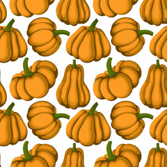 Seamless pattern of different shape and color pumpkin, cartoon style vector illustration isolated on white for autumn decoration
