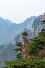 Pines and mountains of China