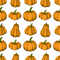 Seamless pattern of different shape and color pumpkin, cartoon style vector illustration isolated on white for autumn decoration
